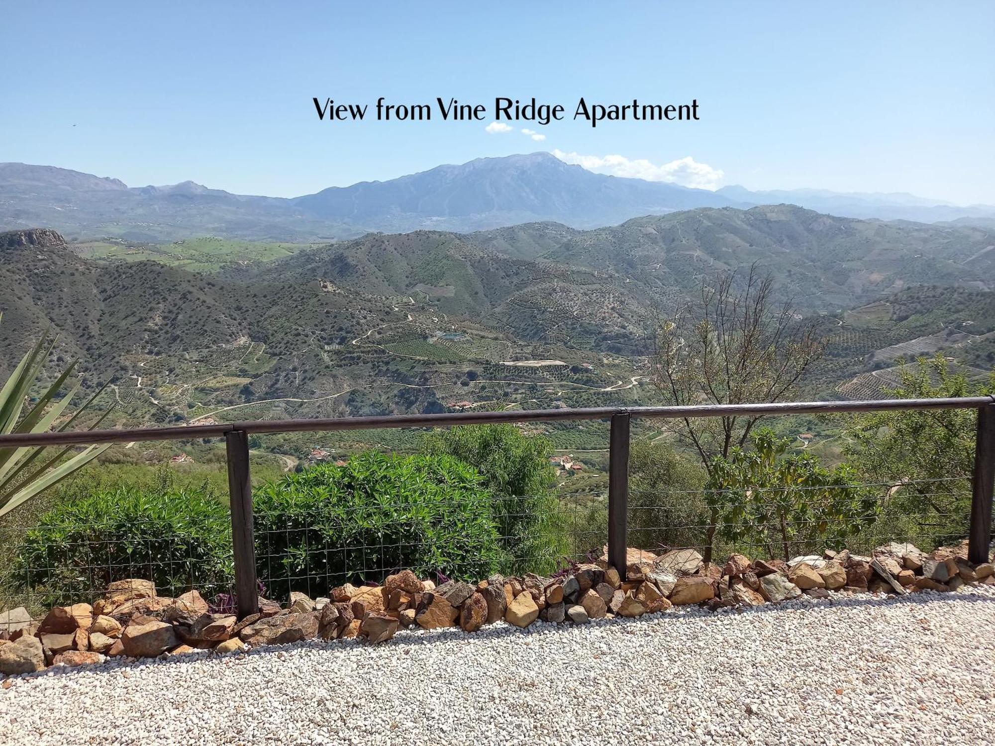 Vine Ridge Studio, Apartment&Pool side Studio Comares Esterno foto